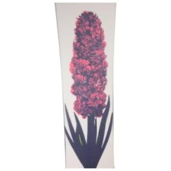 Planche Snowboard Oxbow Hyacinth -Matériel De Ski Reduction 1a01dca6ca5dc409449325a9ec3c5899999d735f H23OXBOBOA261209 OXBO0044308 905