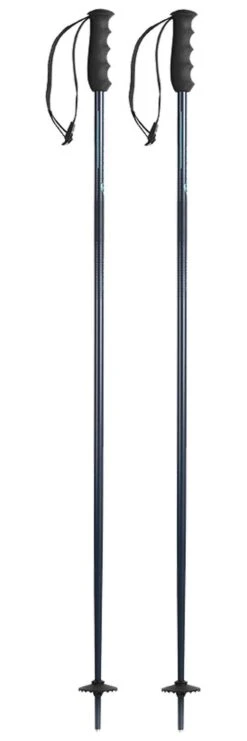 Bâton Nordica Alpine Ti Woman