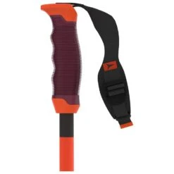 Bâton Atomic Redster Rs Sqs Red/Black -Matériel De Ski Reduction ab001387b31f182d9498f05103b8c8ce9eb2ec60 H23ATOMBAT2267038 10